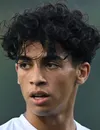 El Aynaoui