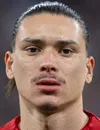 Darwin Gabriel Nunez Ribeirod